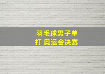 羽毛球男子单打 奥运会决赛